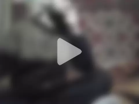 AlferezzSolvajo photo 3