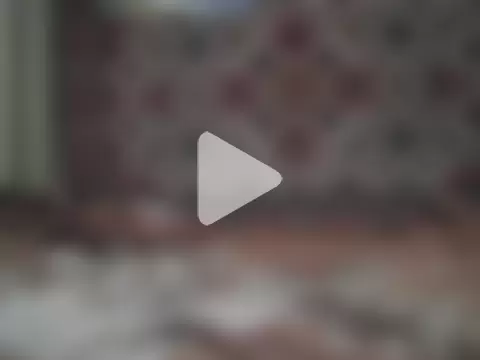 AlferezzSolvajo photo 2