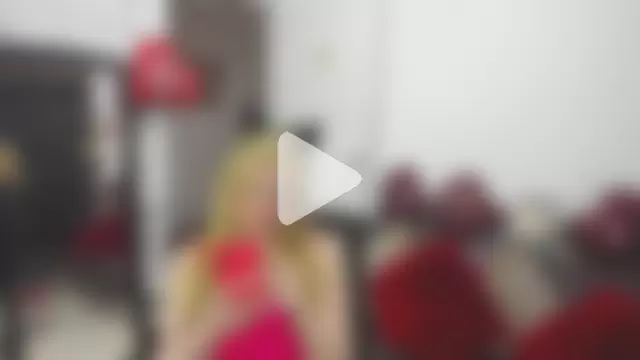 AliceCat_01 photo 10