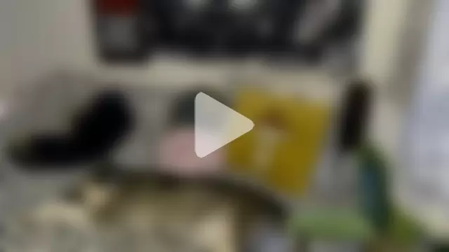 AlienforTwenty photo 15