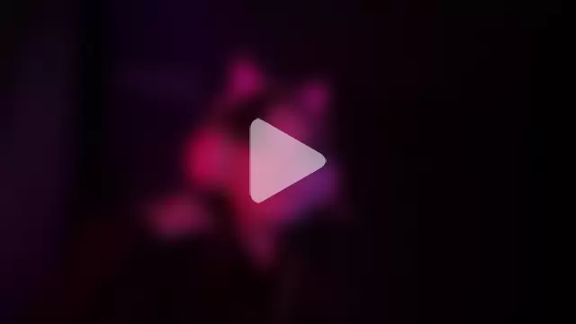 Alinalovelove photo 2