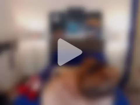 Allysonevanns photo 8