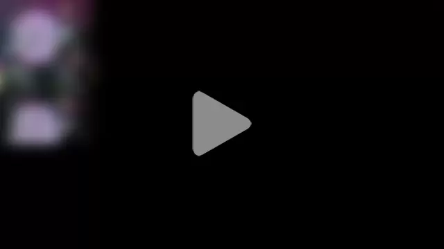 Alondra_Campbell photo 12