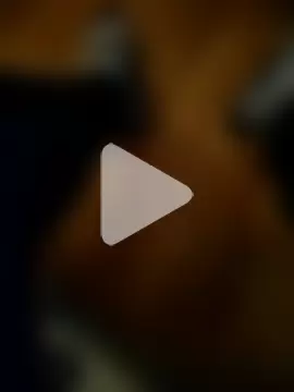 Altydlus4muff photo 8