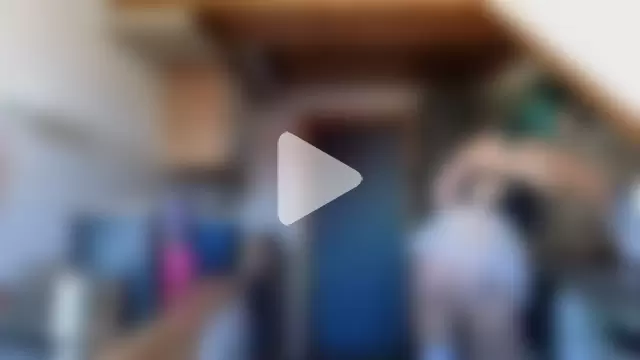 AmazingSugar- photo 9