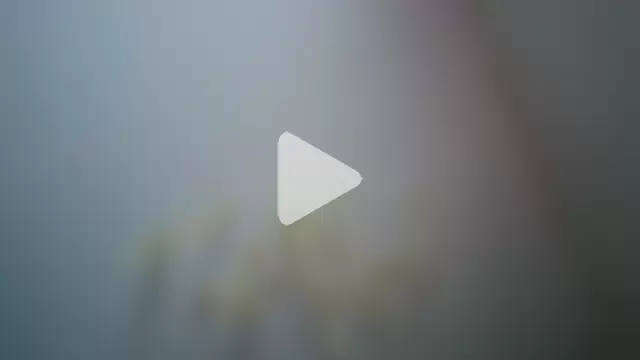 AmeliaAnale8 photo 12