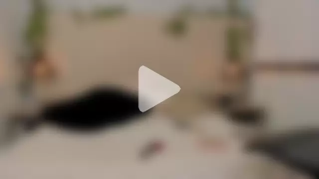 Amelia_Brixton photo 10