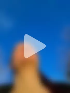 Analimado18 photo 17