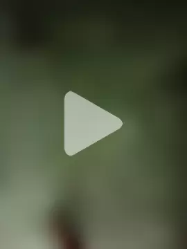 Anamika-singhania photo 16