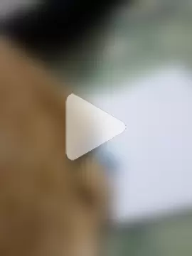 Anamika-singhania photo 15