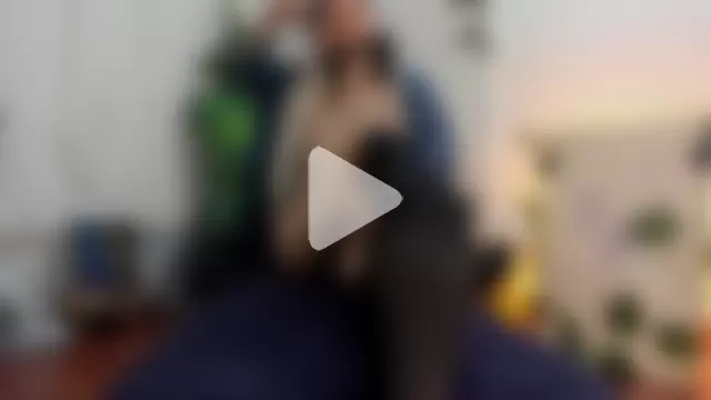 AngelDamianArt photo 28