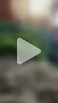 AngelJunior01 photo 2