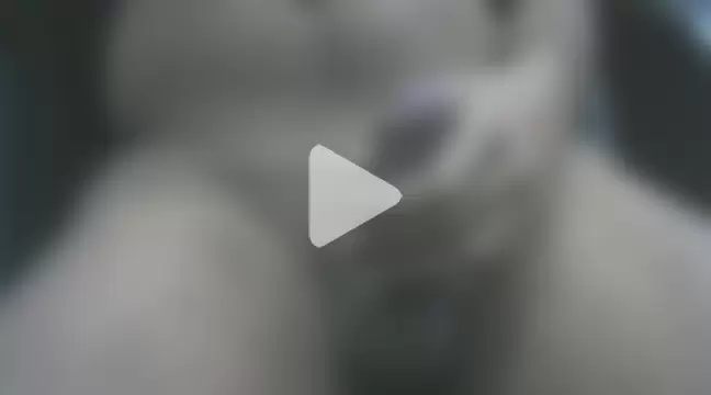 AnilSharma2021 photo 8