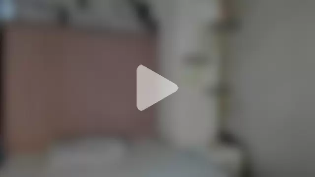 Anittatoro_ photo 16