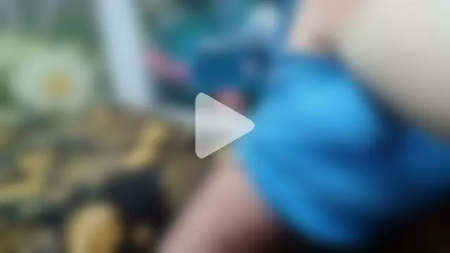 AnnaXGoldX photo 16
