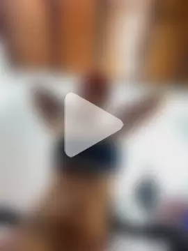 Antonellasmith00 photo 22