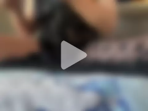 Aoi-japanese photo 7