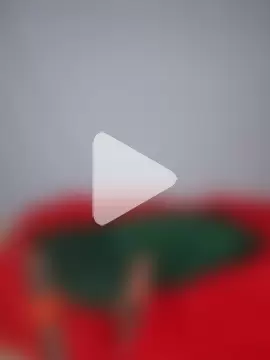 ArabicFounsiLBaby photo 7