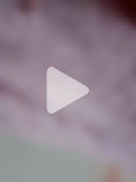 ArabicSilka photo 23