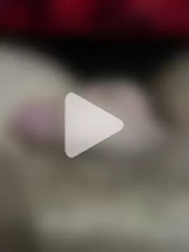 Arabicdevil photo 29