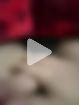 Arabicdevil photo 27