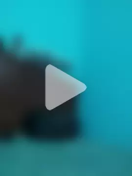 Archie_Cash3 photo 3