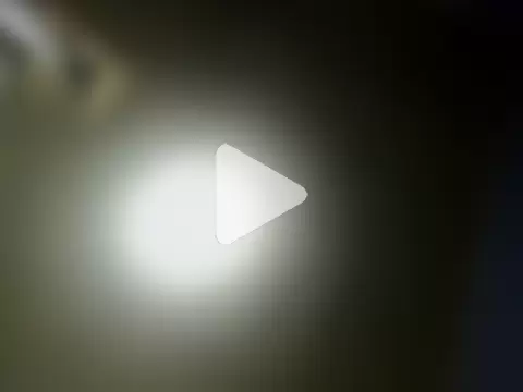 Ardillaxxxx199 photo 3