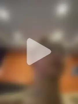 Aria_roouse3 photo 1