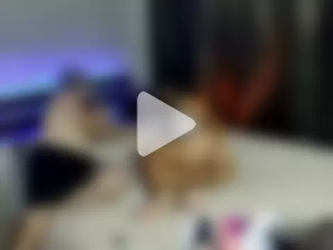 Ariadna2015 photo 14