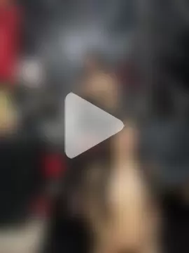 AriadneNorth_SophiBraum photo 7