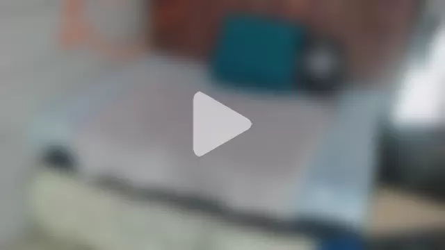 Ariasmithog photo 30