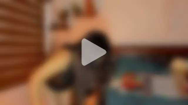 Ariella_tits photo 14