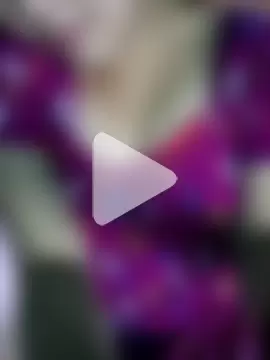 Arohi_is_Live photo 16