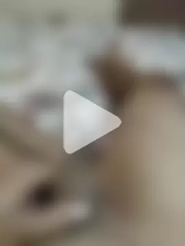 Ashish02345 photo 12