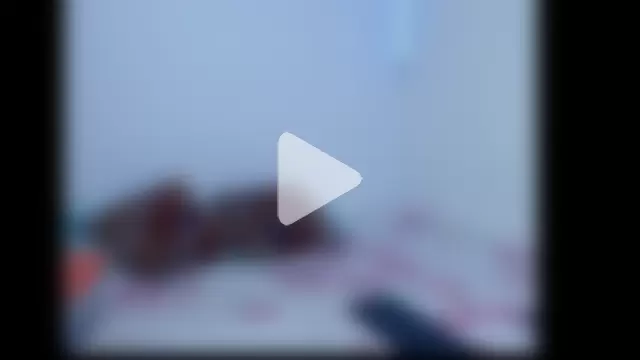 Ashley_Spicy photo 9