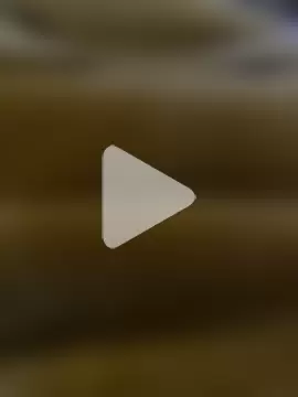 Ashwak_trans photo 3