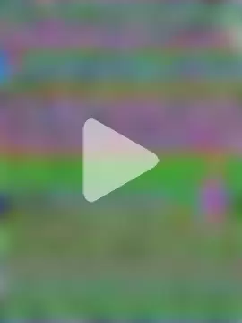 AsianDreamx photo 20