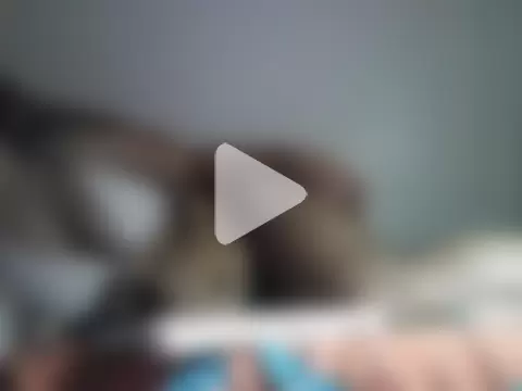 AsianPussyWet69x photo 4