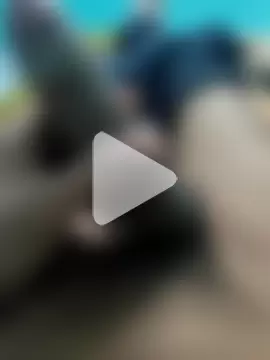 Asian_hunter1 photo 10