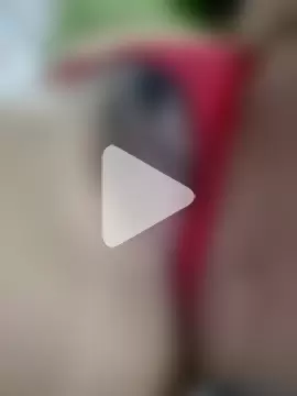 Atrevidallf1 photo 10