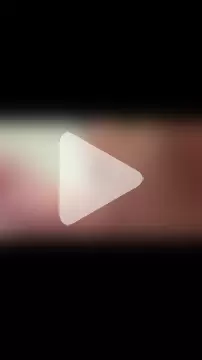 Aulonocara86 photo 3