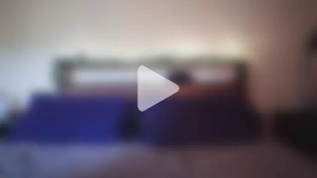 AussieKittyPurr photo 20