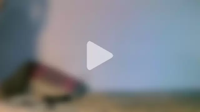 Austin_Hoffman photo 10