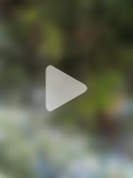 Avejkhan1630 photo 2