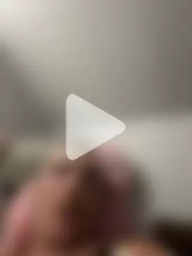 AverageMaleJay photo 7