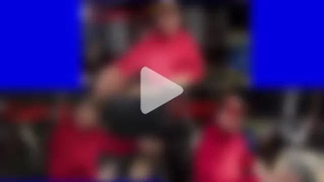 AverageMaleJay photo 5