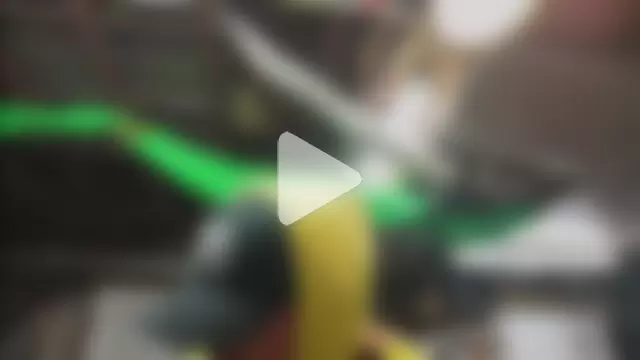 AverageMaleJay photo 2