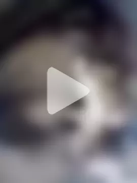 Ayush_pussy_fucker photo 4