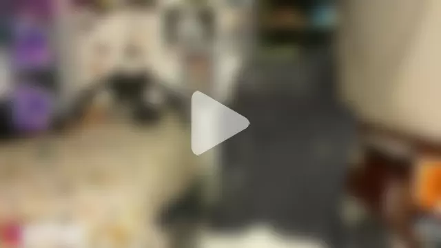 B0nnie_H0ney photo 7