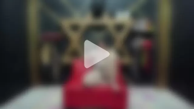 BDSM_EXOTICDOMINATI0N2 photo 21